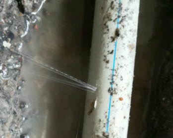 路南卫生间测漏水多少钱